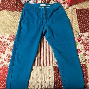 Teal pants